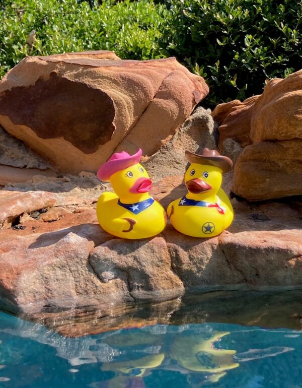 Rubber Duckies: Cowboy & Cowgirl