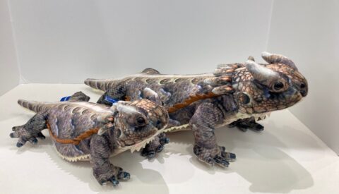 Plush, Horned Toads, 2 Sizes