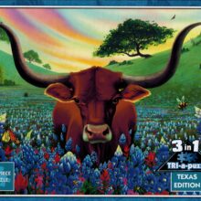 Puzzle, Texas 3-in-1