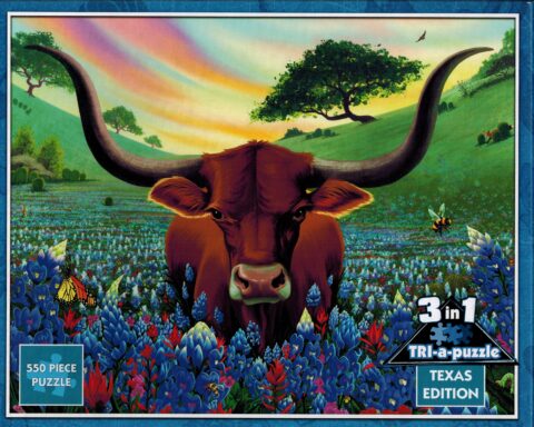 Puzzle, Texas 3-in-1